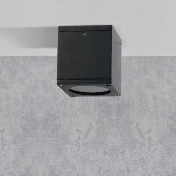 Kültéri fali lámpa MORRIS 1xGU10/35W/230V IP54