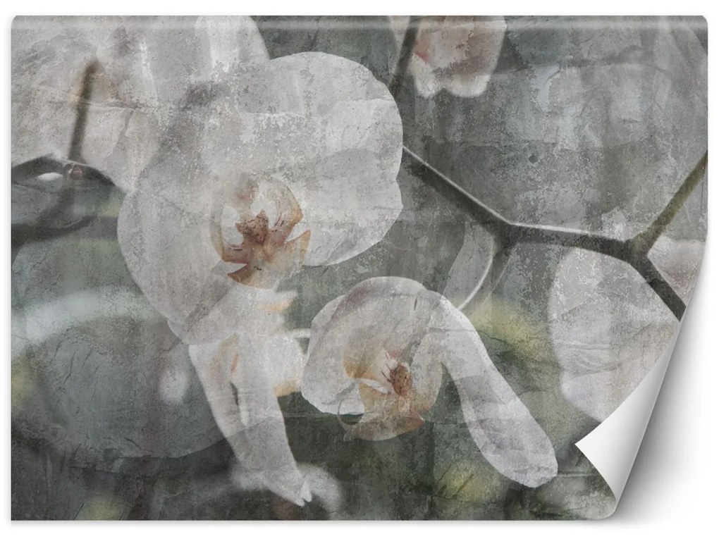 Gario Fotótapéta Orchidea vintage Anyag: Vlies, Méret: 150 x 105 cm