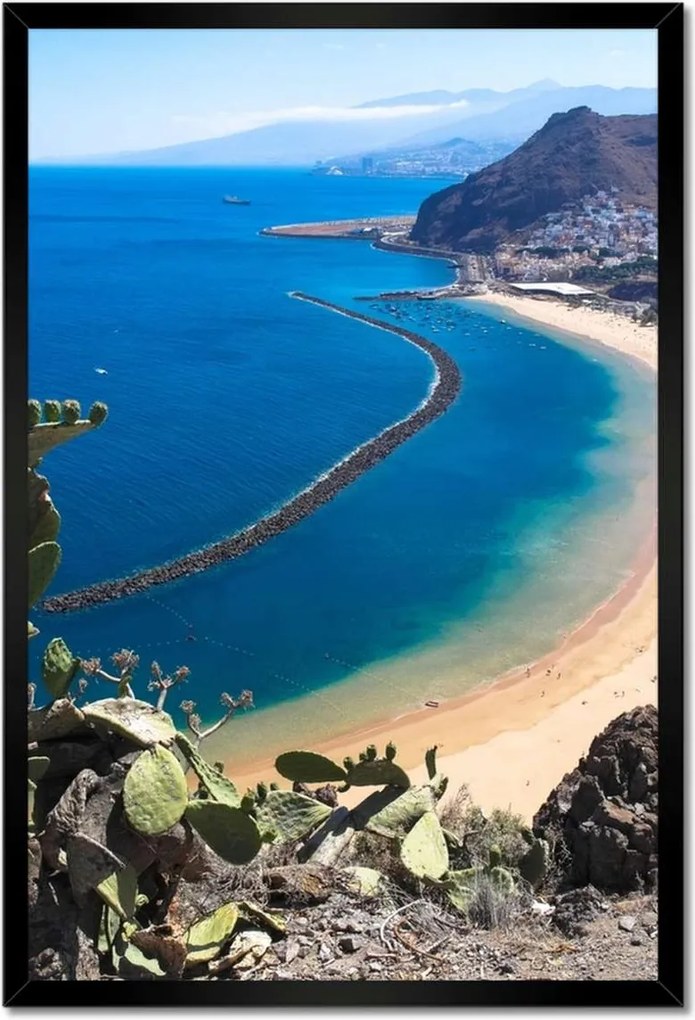 Poszterek keretben 40x60 Pillantás a kaktusz mögül