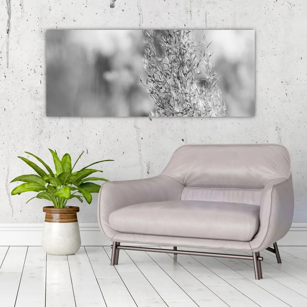 Kép - Boho pampafű (120x50 cm)