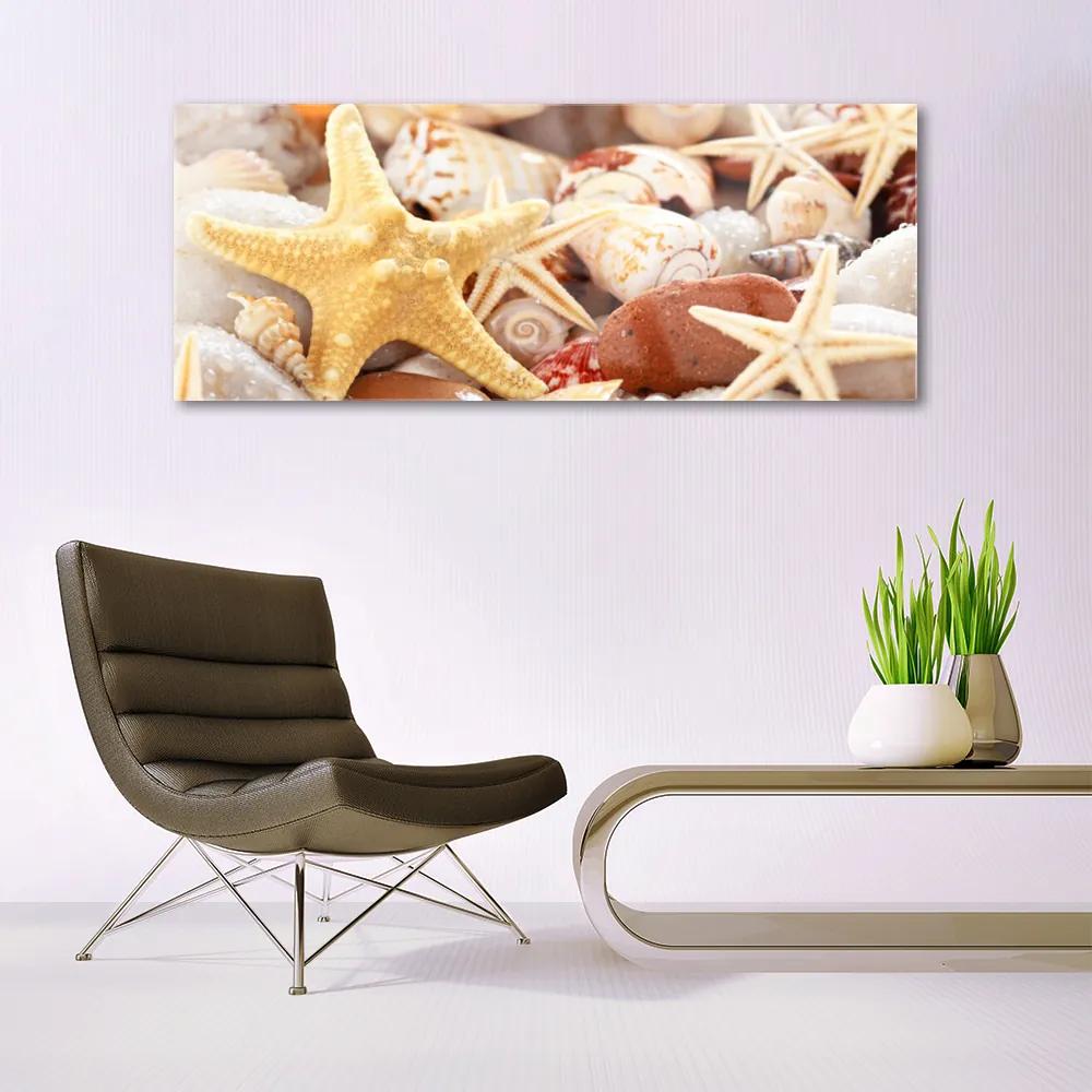 Modern üvegkép Starfish Shells Beach 125x50 cm