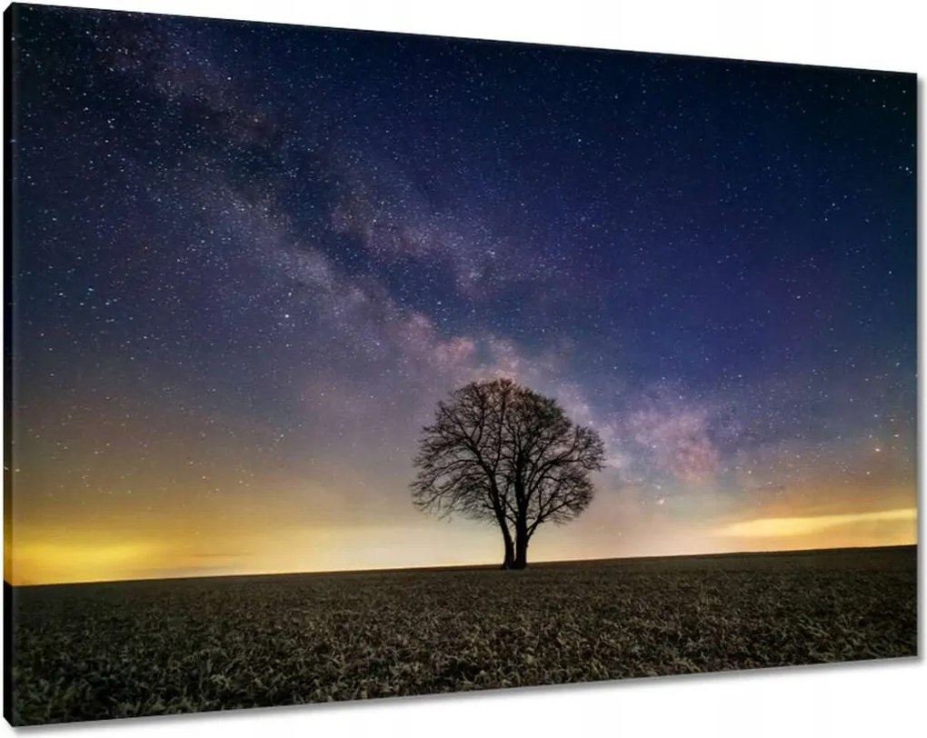 Vászonkép 100x70 Magányos fa és csillagok