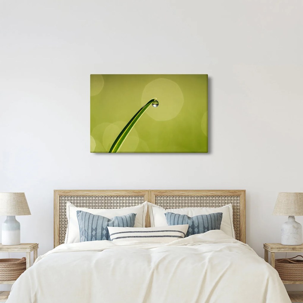 Víz csepp a fűben képe (90x60 cm)