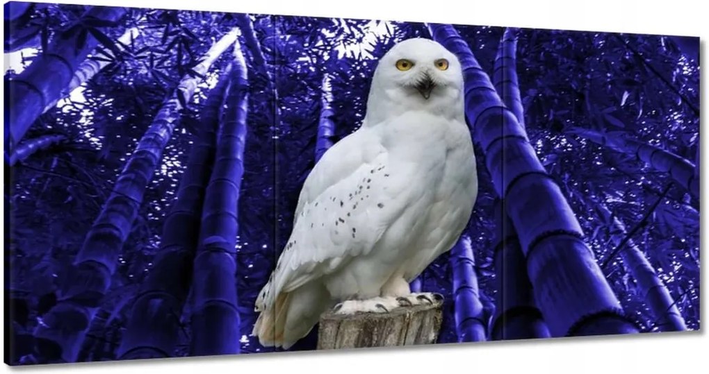 Vászonkép 180x90 Vadász a Bagoly őrsön