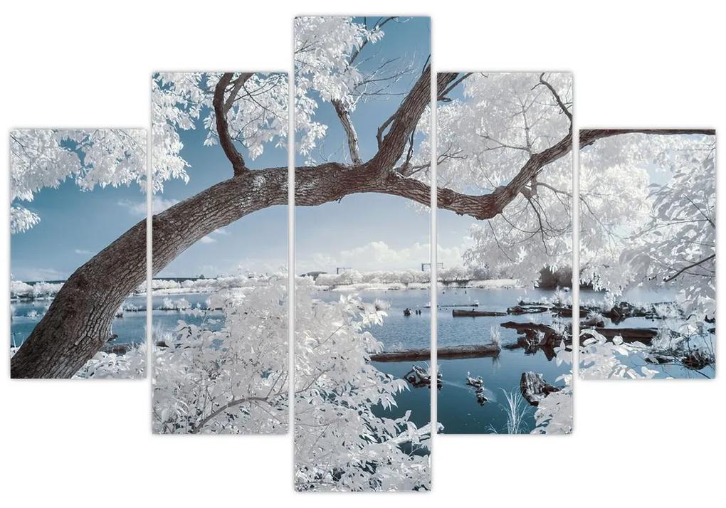 A víz mellett egy havas fa képe (150x105 cm)