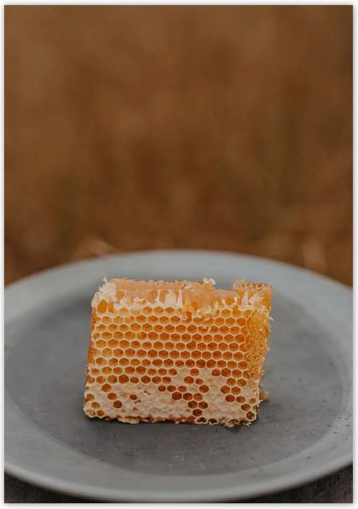 Poszterek 70x100 Méz Méhészet