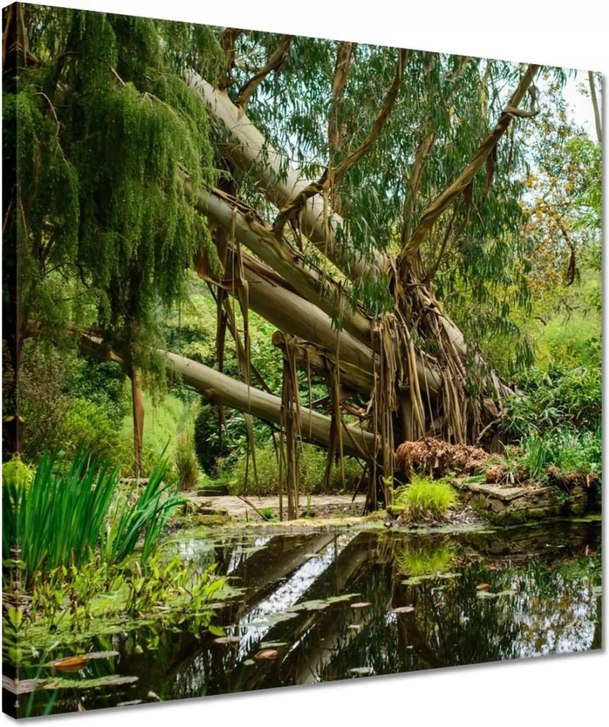 Vászonkép 40x40 Tájkép Látvány