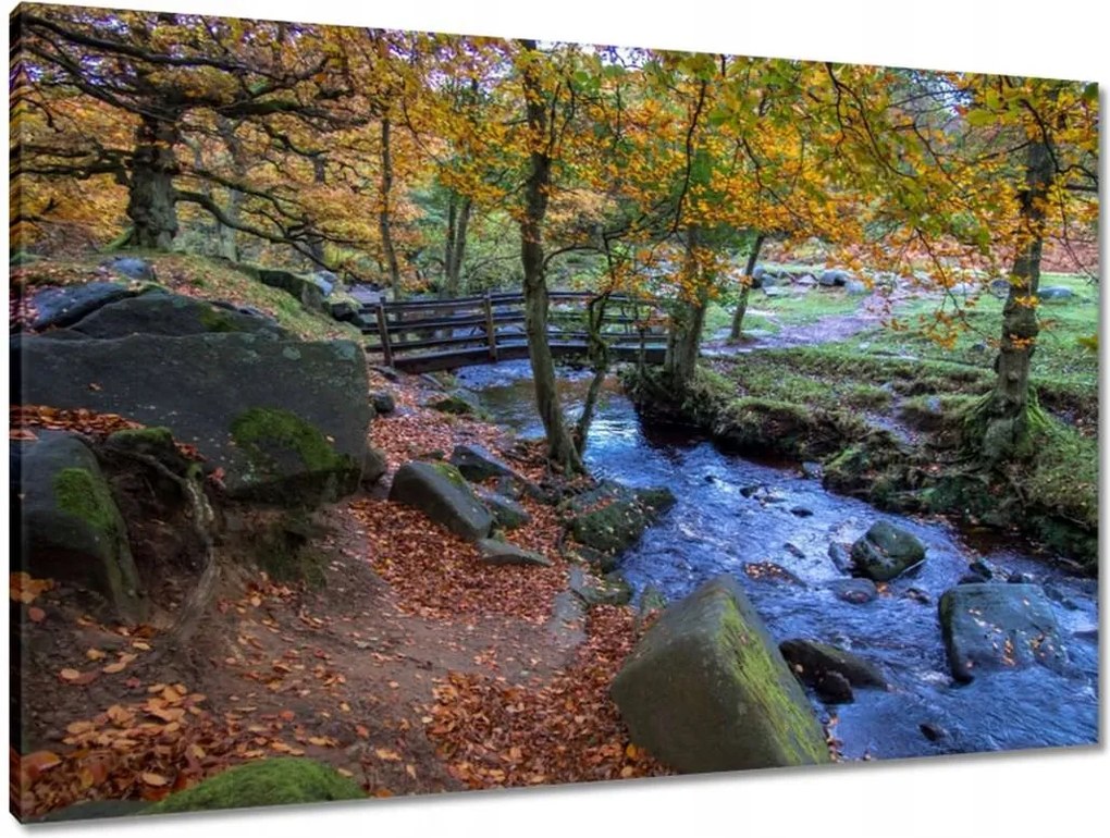 Vászonkép 90x60 Híd a parkban