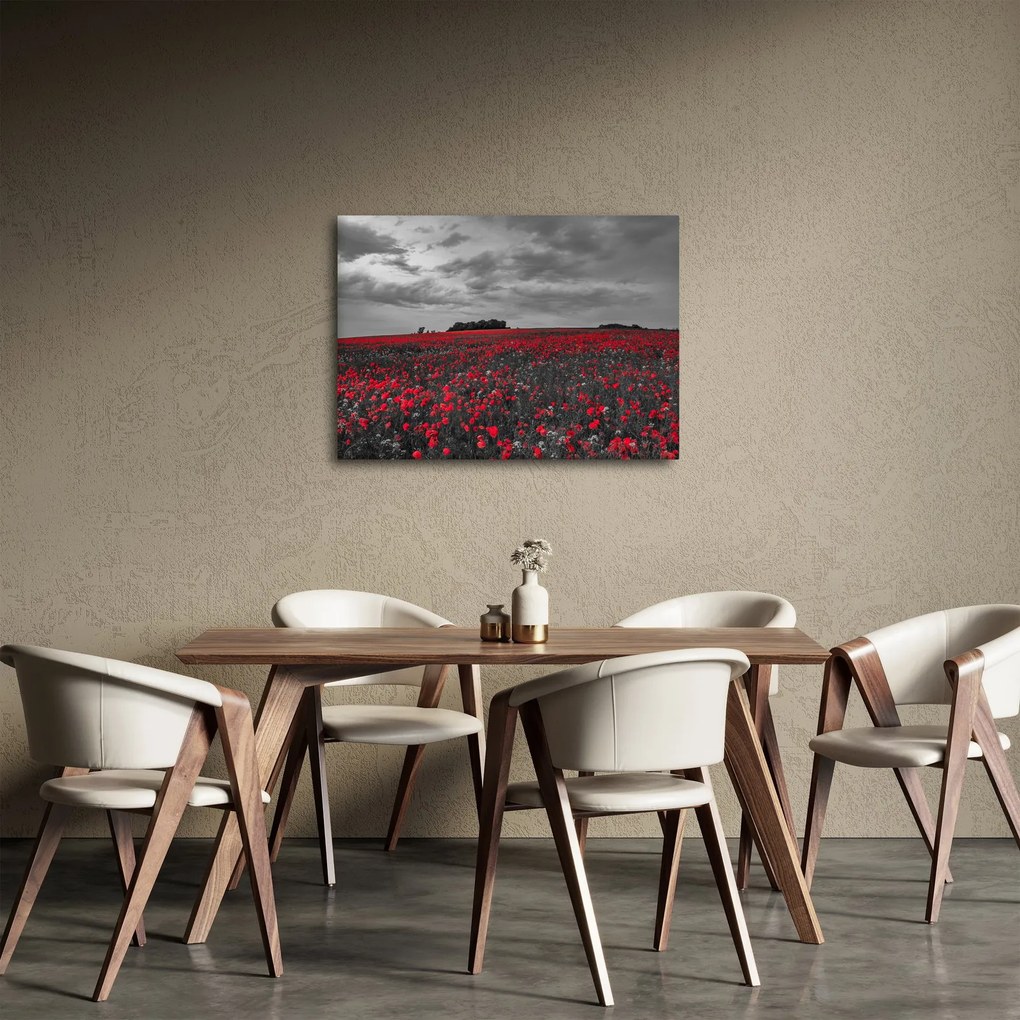 Pipacsos kép (70x50 cm)