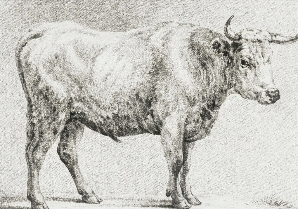 Fotótapéta Flizelina Nappali és Hálószoba Bika ceruza 312x219 Ragasztó