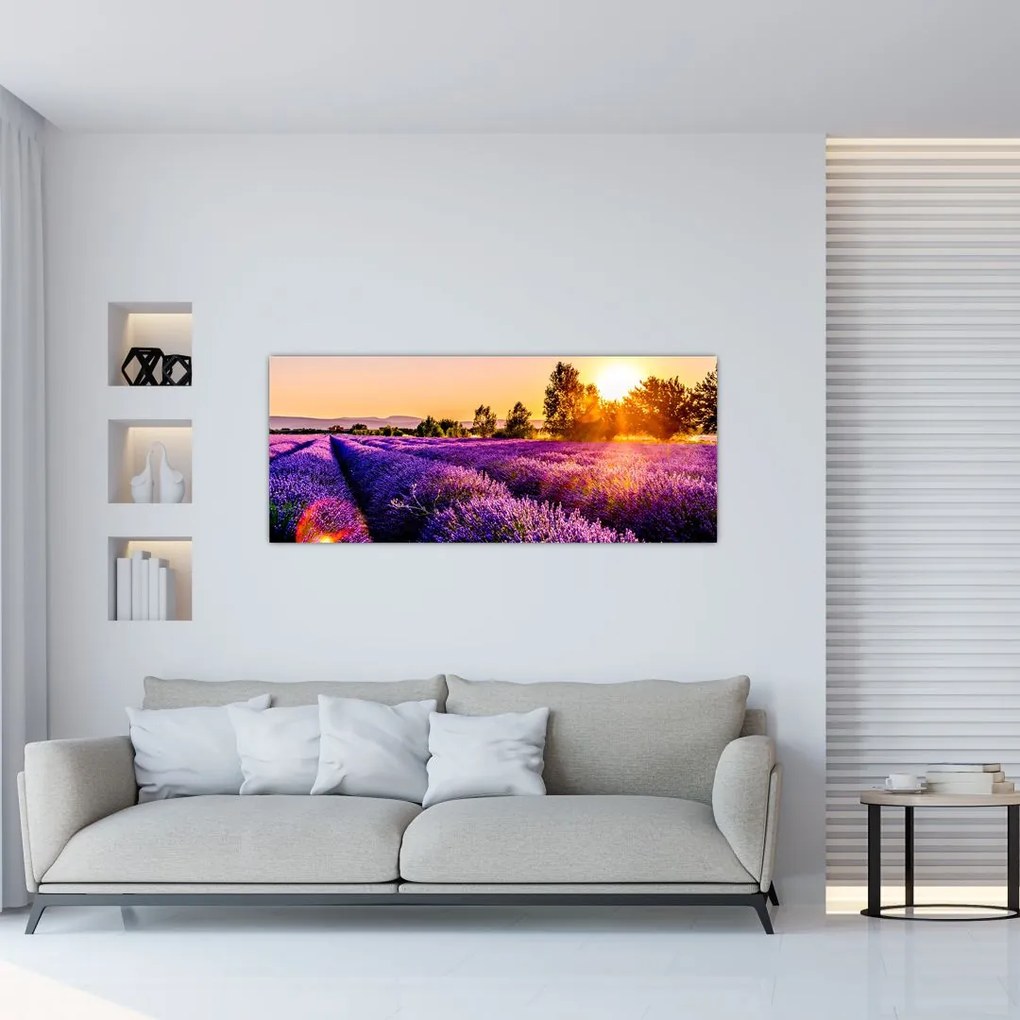 Levandula mező képe (120x50 cm)