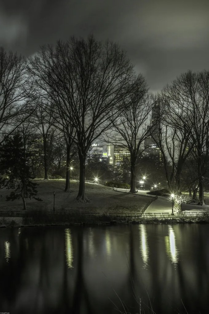 Poszter 40x60cm Central Park éjszaka 2, Assaf Frank