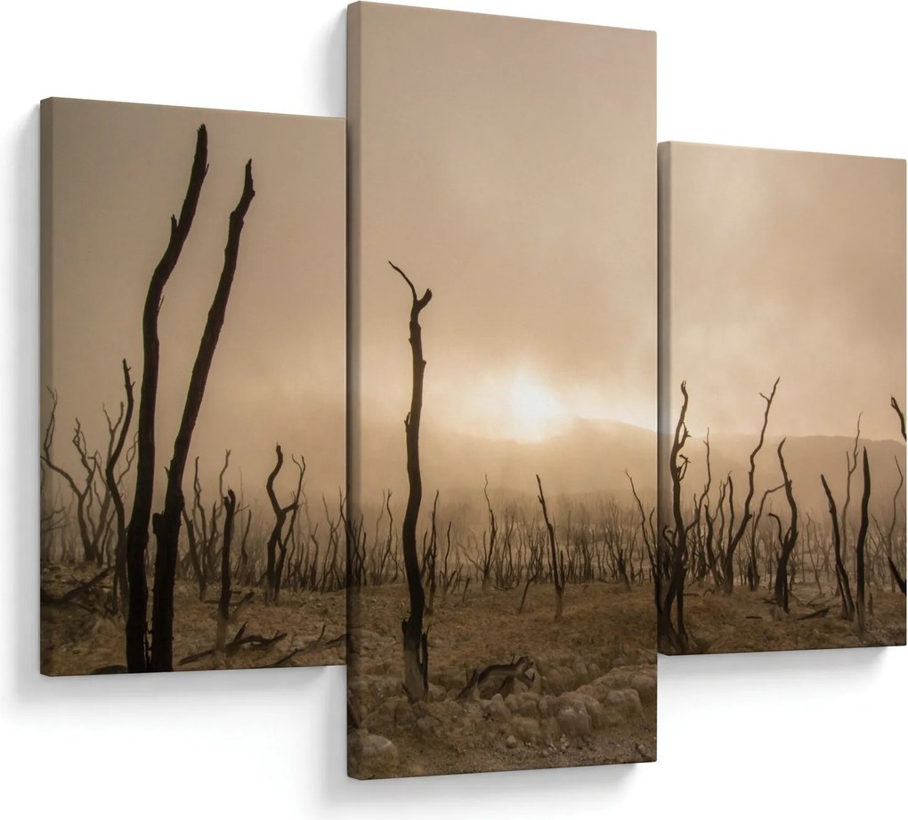 Kép - Csupasz fák (90x60 cm)