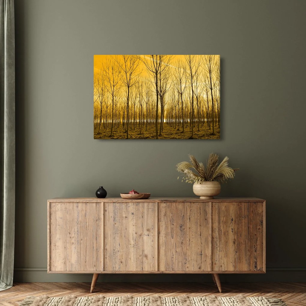 Kép - Faültetvény (90x60 cm)