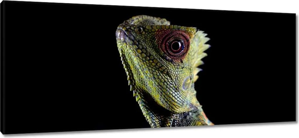 Vászonkép 100x40 Zöld gyík erdő