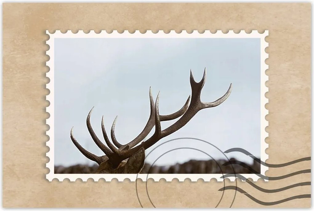 Poszter 60x40 Szarvas felszarvazott