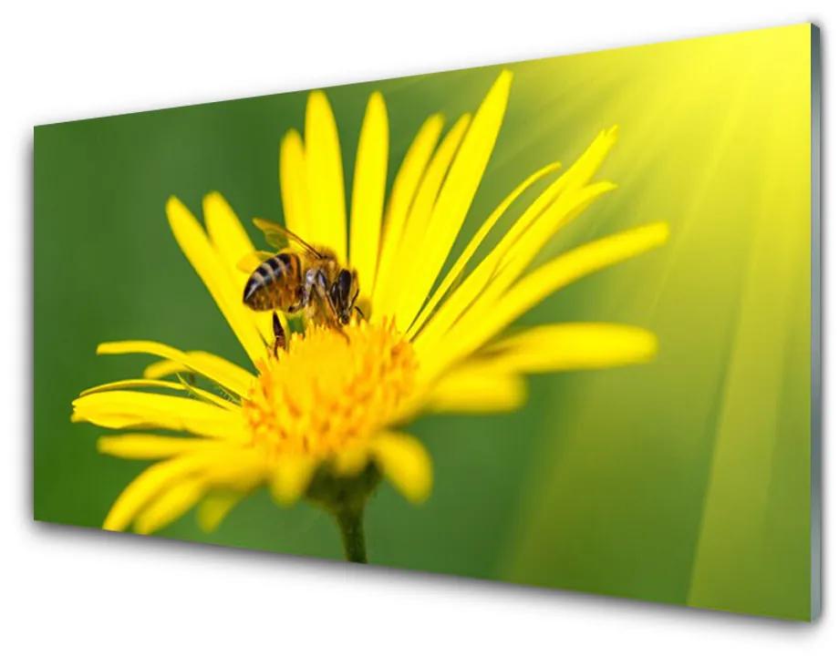 Modern üvegkép Bee Virág Természet 140x70 cm