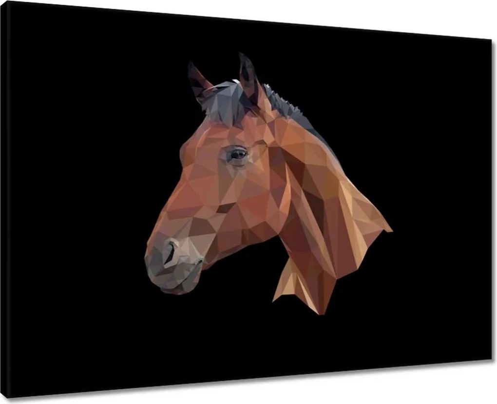 Vászonkép 70x50 Lófej