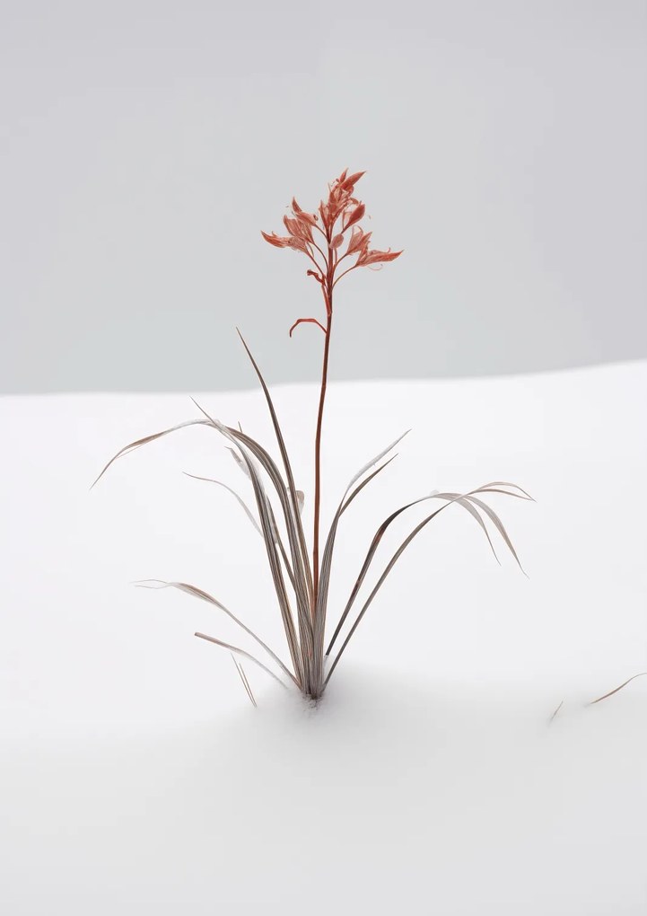 Poszter 21x29,7cm A természet finomsága