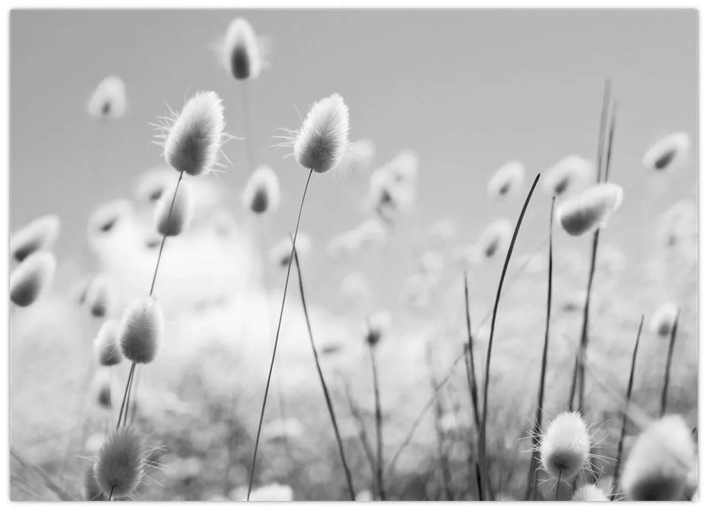 Kép - Boho nyuszi farok fű (70x50 cm)