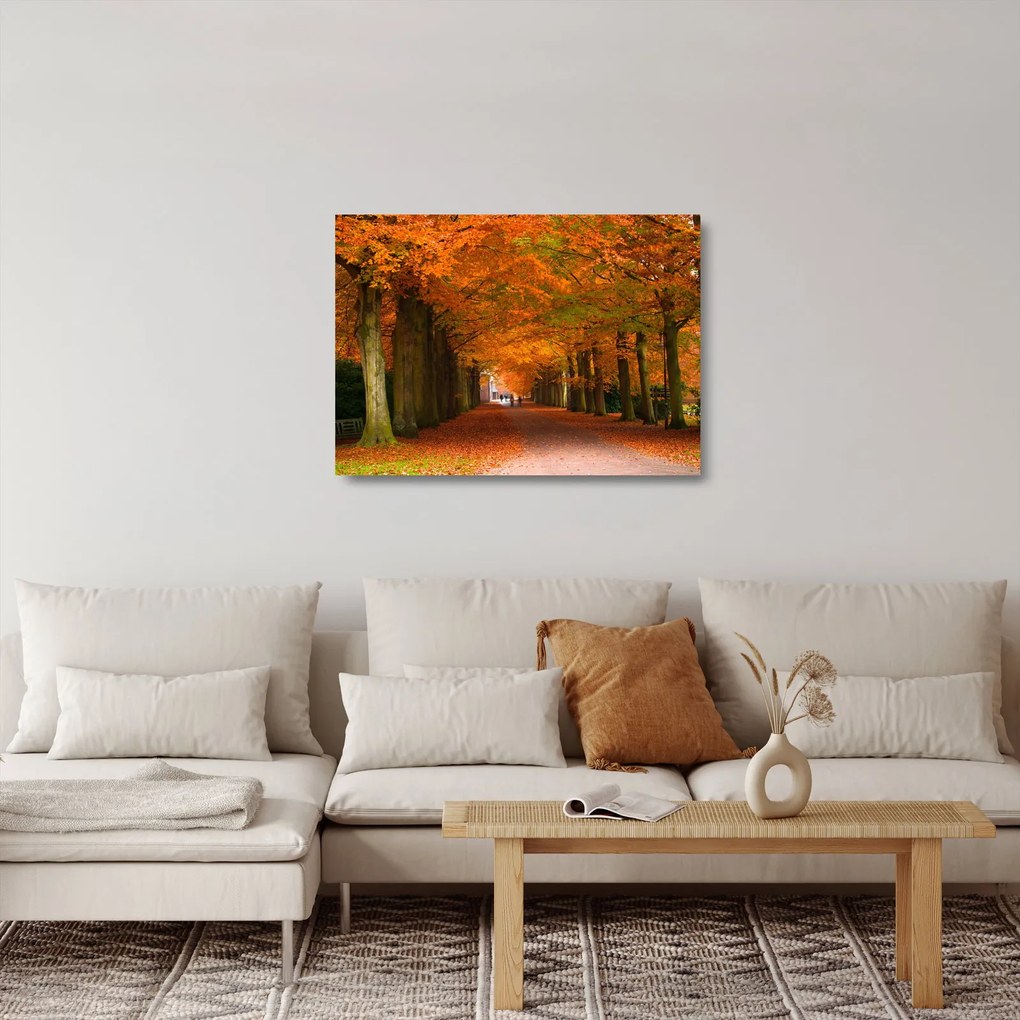 Üveg kép - A Avenue of fák ősszel (70x50 cm)