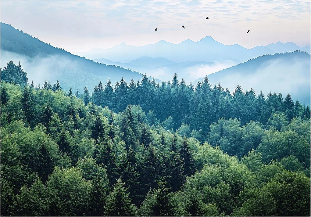 Fotótapéta erdő hegyek lucfenyő természet köd tájkép nappali hálószoba iroda