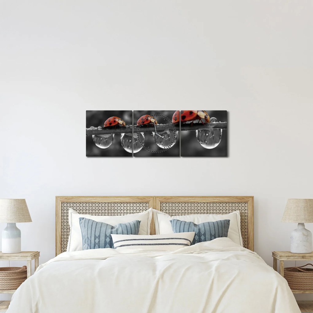 Kép - Napraforgó, fekete-fehér (órával) (90x30 cm)