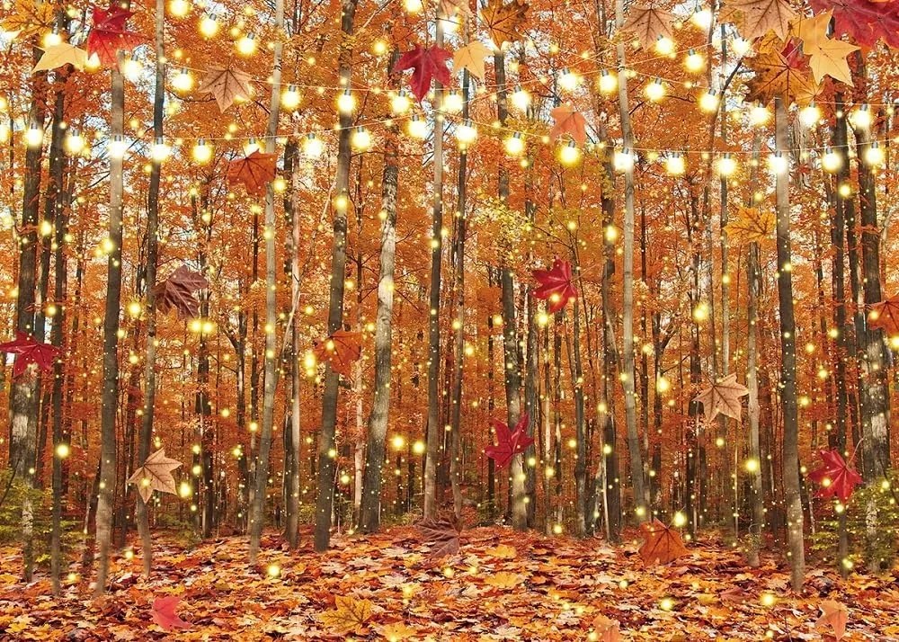 Inrui Őszi fotó háttér erdő motívummal, őszi táj, levelek