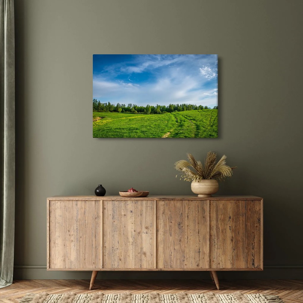 Rét képe (90x60 cm)