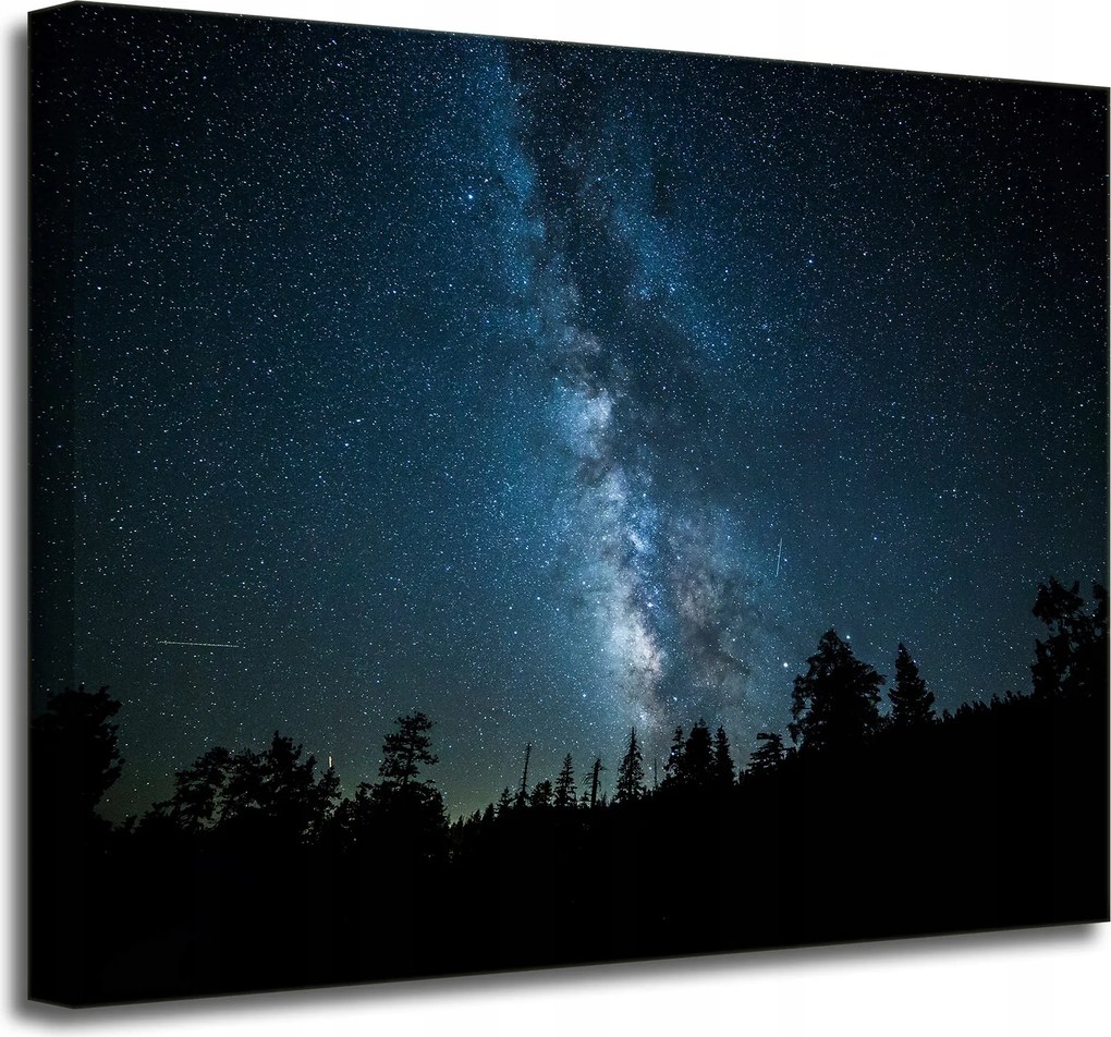 Vászonkép Kozmosz Éjszaka Erdő Köd Természet Csillagászat 50x40