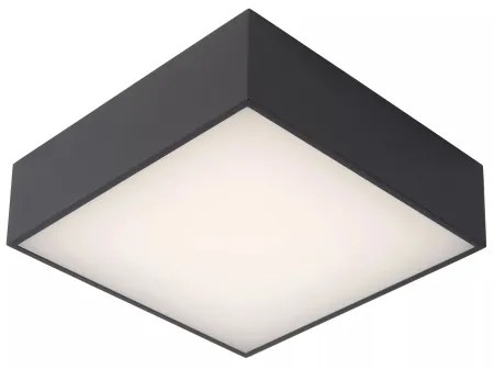 Lucide 27816/10/29 - LED Fürdőszobai mennyezeti lámpa ROXANE LED/12W/230V IP54