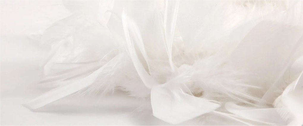Kép - Toll (120x50 cm)