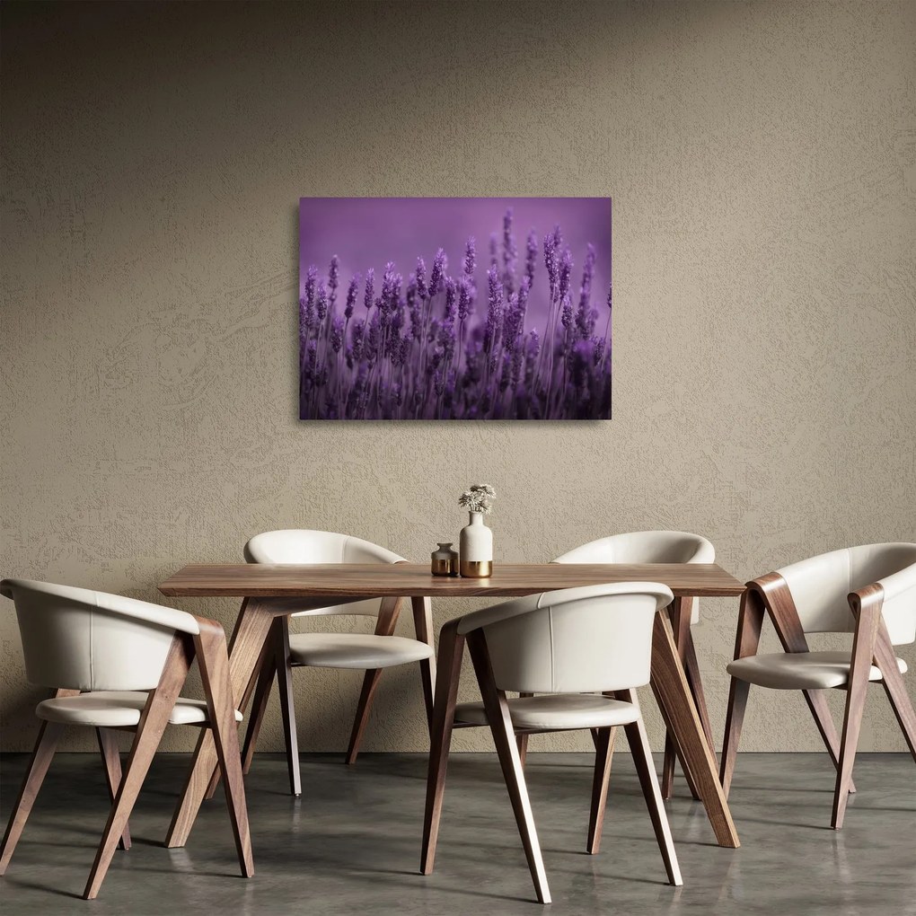 Üveg kép - Levendula (70x50 cm)
