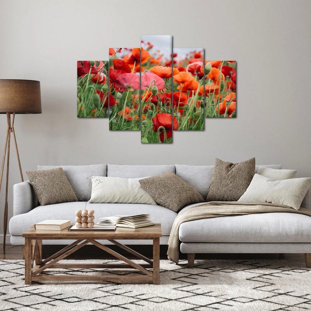 Egy kép a pipacs mezőről (150x105 cm)