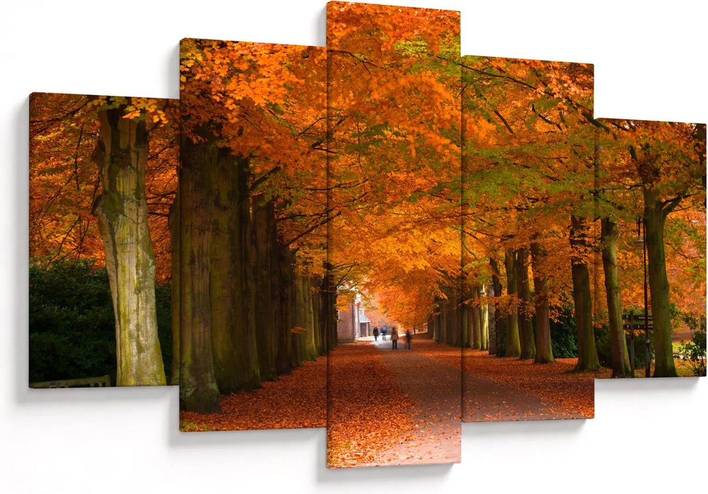 Kép - A Avenue of fák ősszel (150x105 cm)