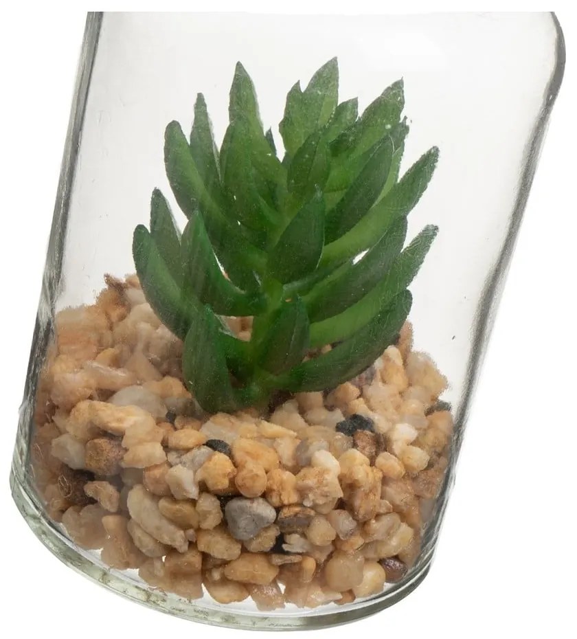 Műnövény szett 4 db-os (magasság 12 cm) Cactus – Casa Selección