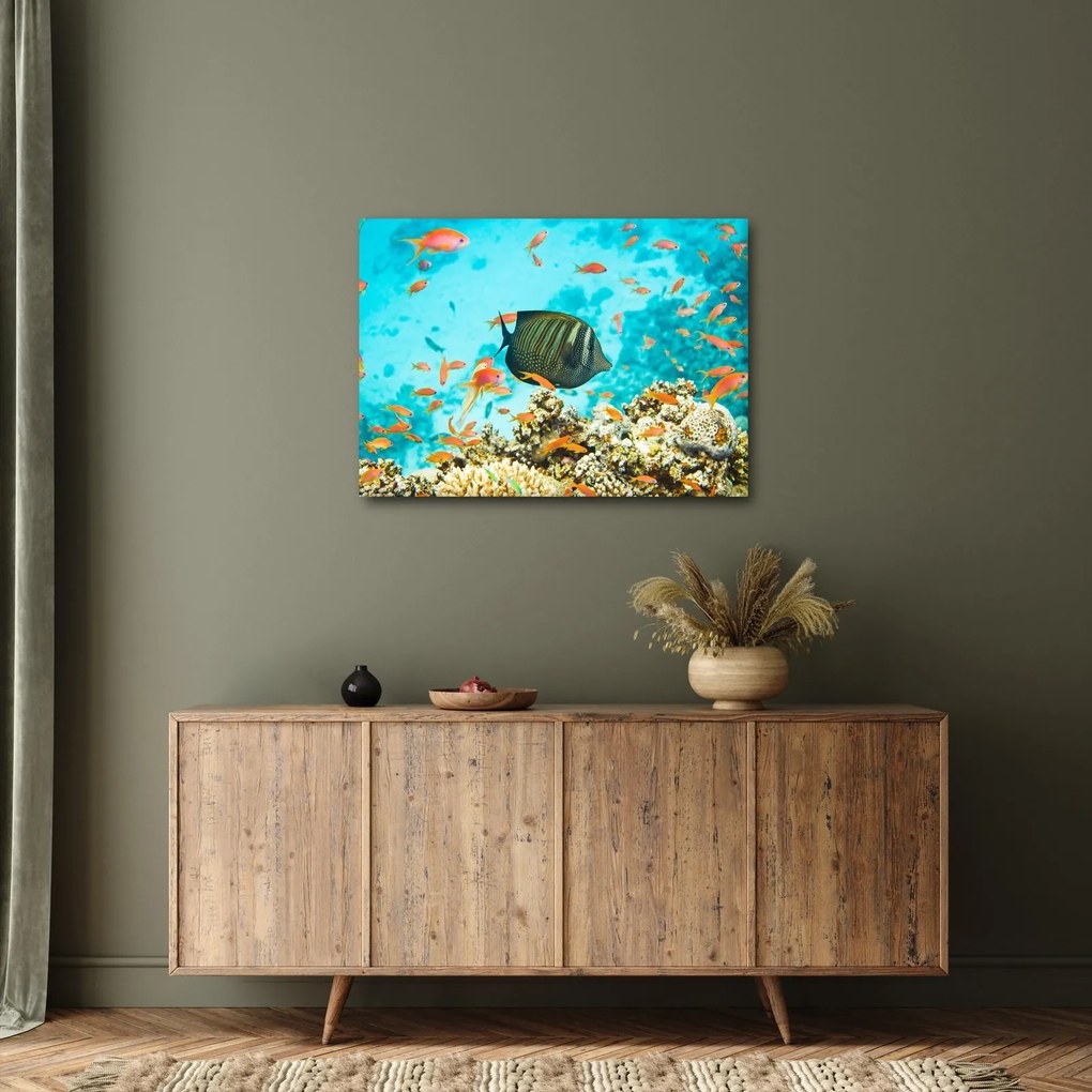 A víz alatti világ képe (70x50 cm)