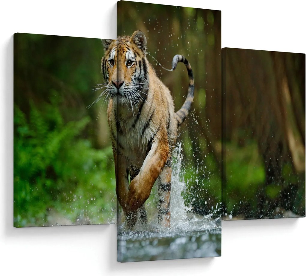 Futó tigris képe (90x60 cm)