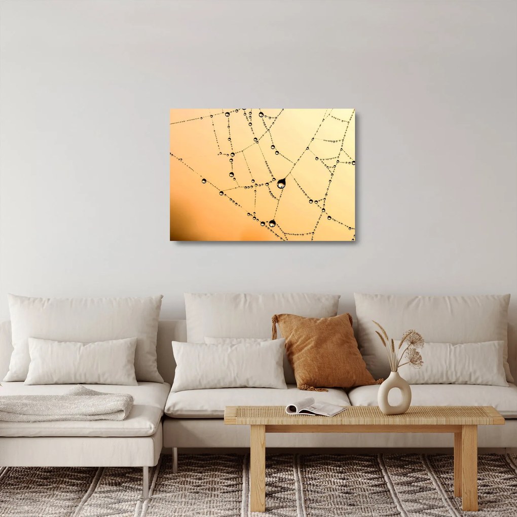 Egy harmatos pókháló képe (üvegen) (70x50 cm)