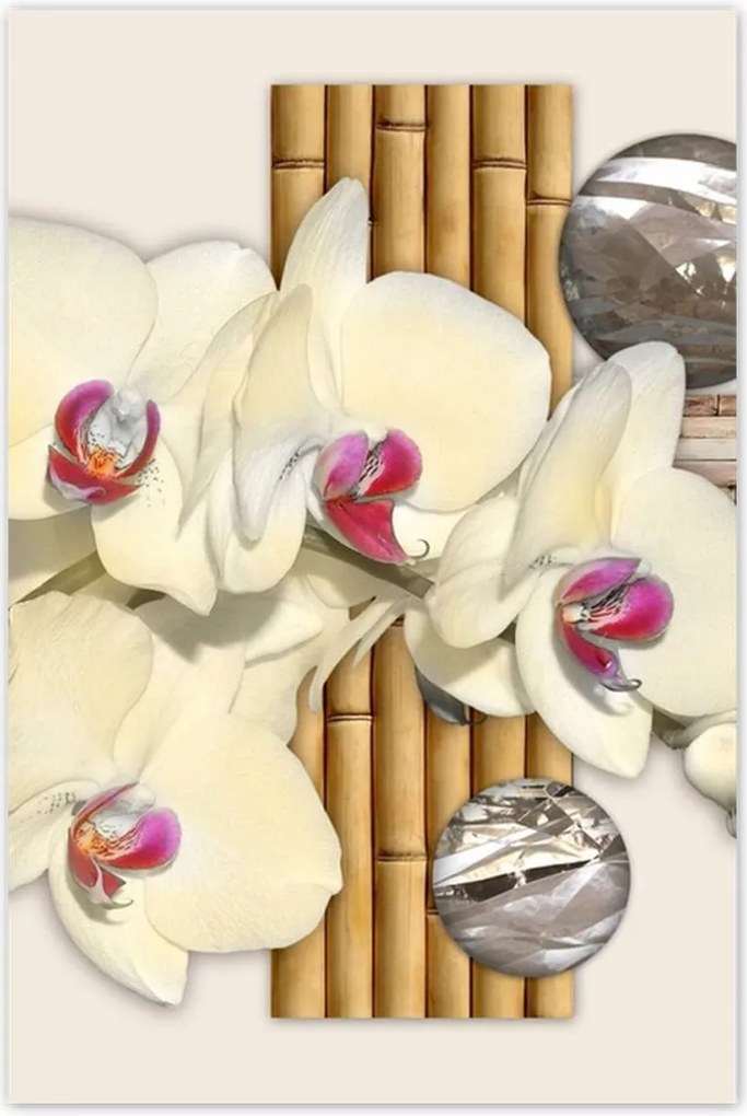 Poszterek 80x120 Virágmintás bambusz