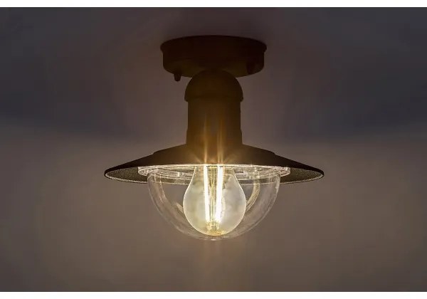 Brilagi - Kültéri mennyezeti lámpa MOLDE 1xE27/60W IP44 fekete