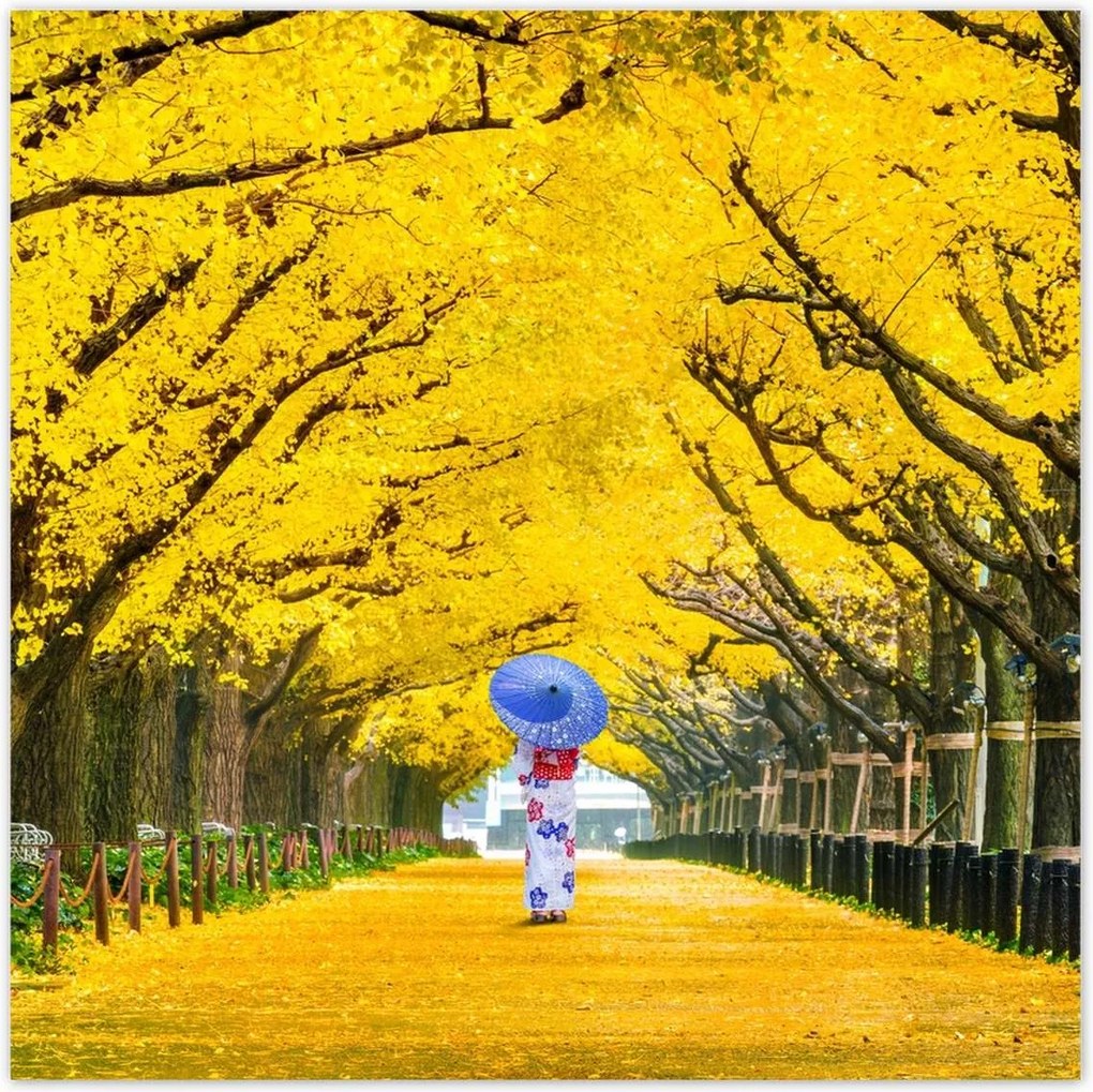 Poszterek 100x100 Japán kimonó Ősz