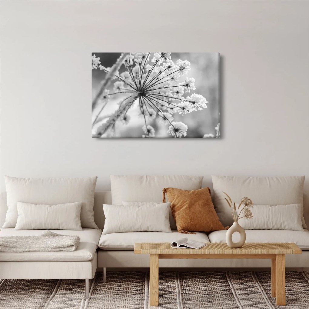 Kép - Virág télen (90x60 cm)