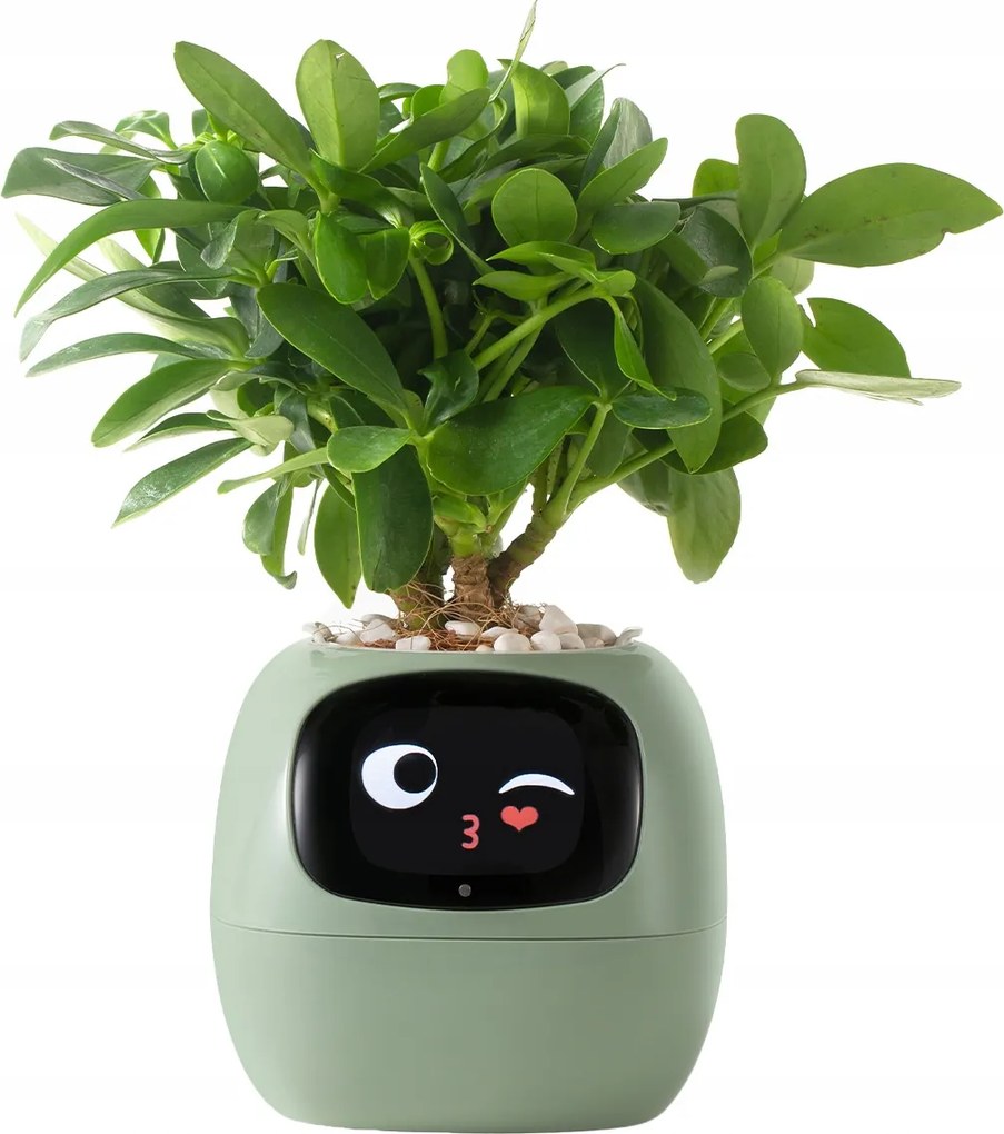 Intelligens virágtartó Ivy Smart Planter fedő virágtartóhoz Zöld