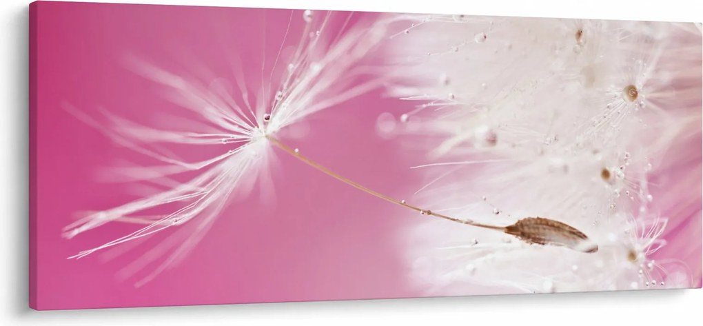 Kép - Makró virága (120x50 cm)