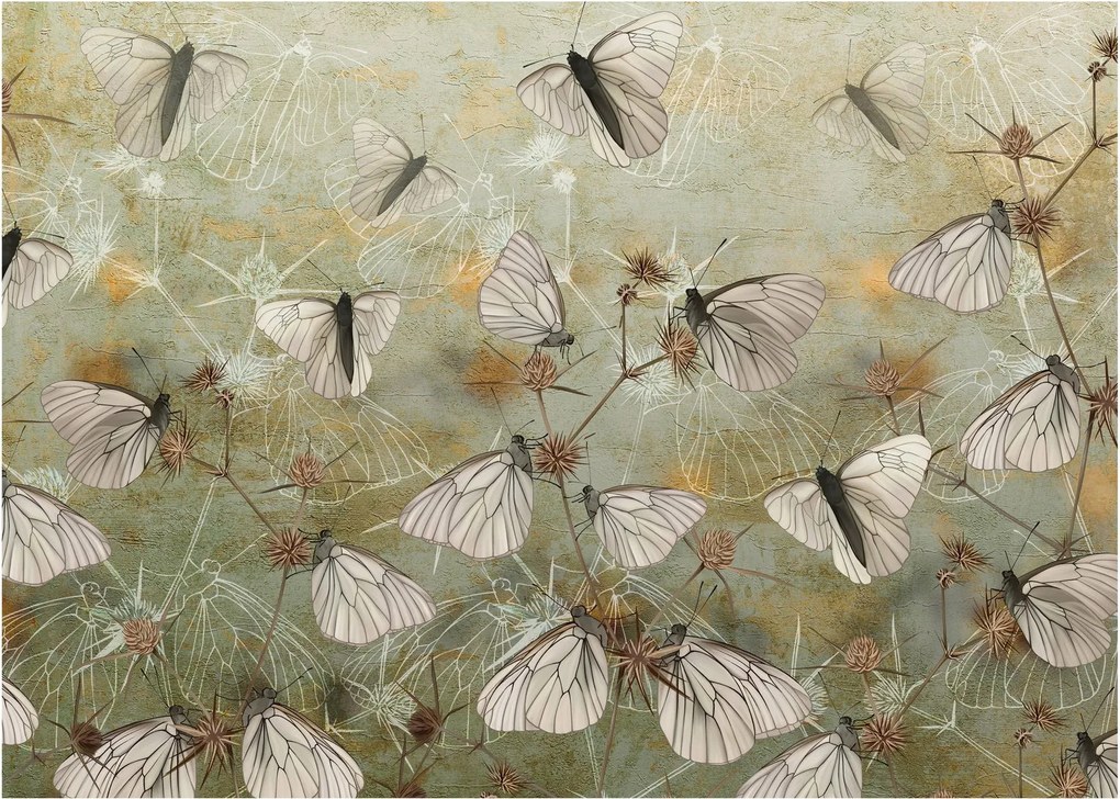 Kép - szüret lepkék (70x50 cm)