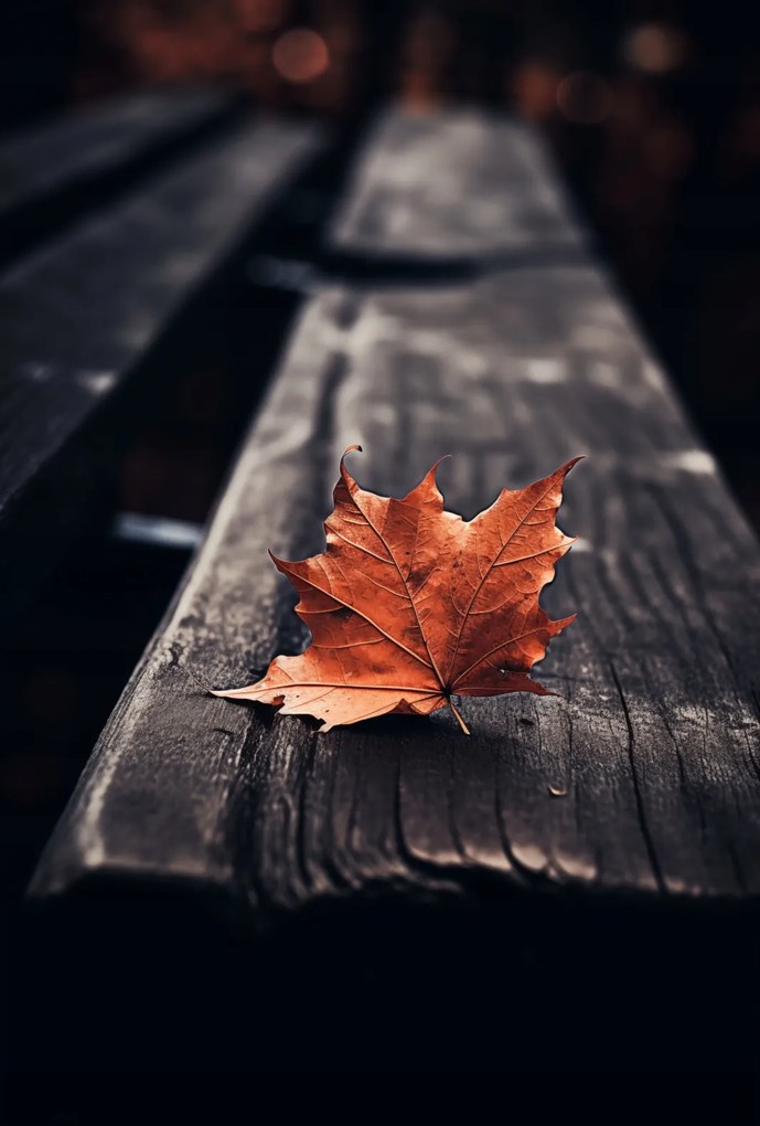 Poszter 67,5x100cm Egyetlen levél