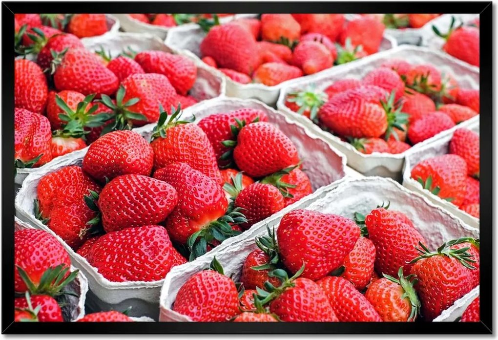 Poszterek keretben 60x40 Konyhai képek Forradalmak