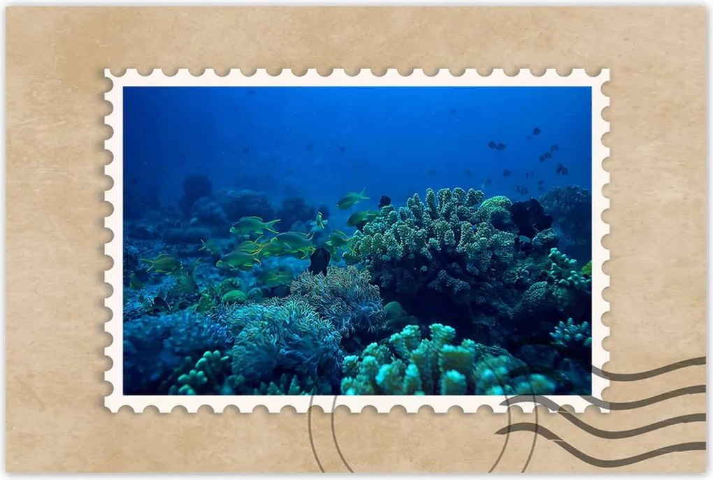 Poszter 60x40 Laguna Korallok Óceán