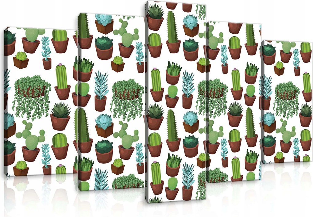 Vászonkép 100x60 Pozsgások kaktuszok szobanövények zöld botanika természet